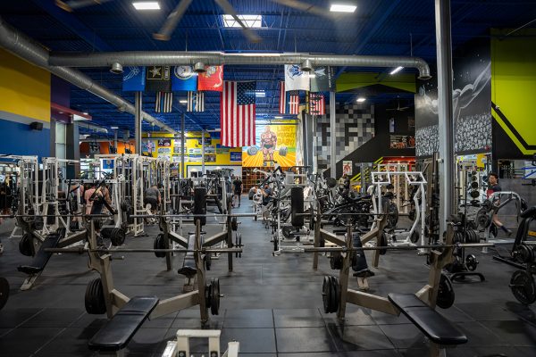 Pro-Fit Deer Park – Best Gym on Long Island